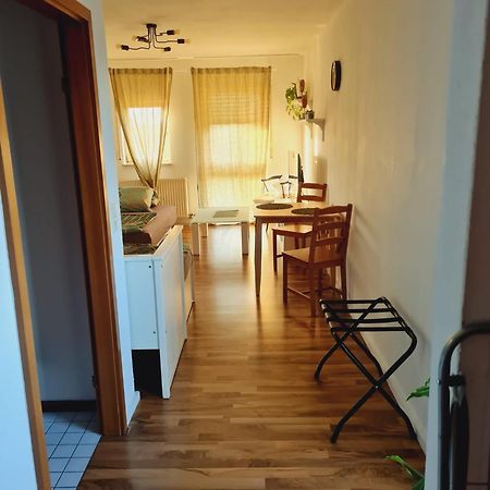 שווצינגן Mels Apartment מראה חיצוני תמונה